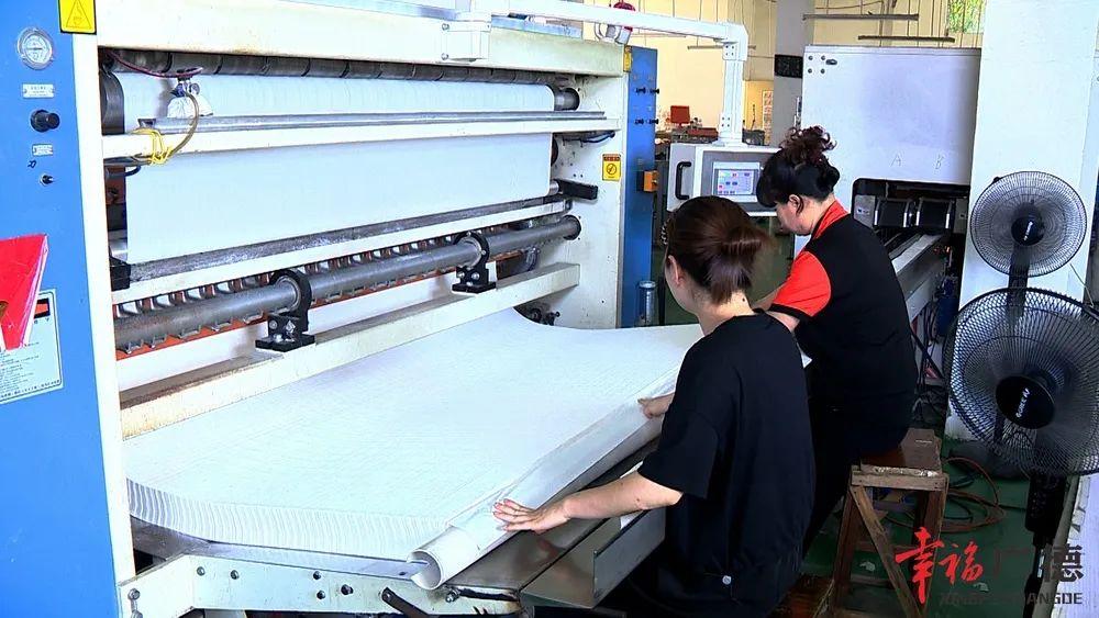 沪农商行2025年Q1净利润微增，稳健发展势头持续显现