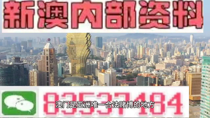 2025年新澳门与香港天天精准正版免费资料大全,精选解析与警惕虚假宣传-全面释义、解释与落实